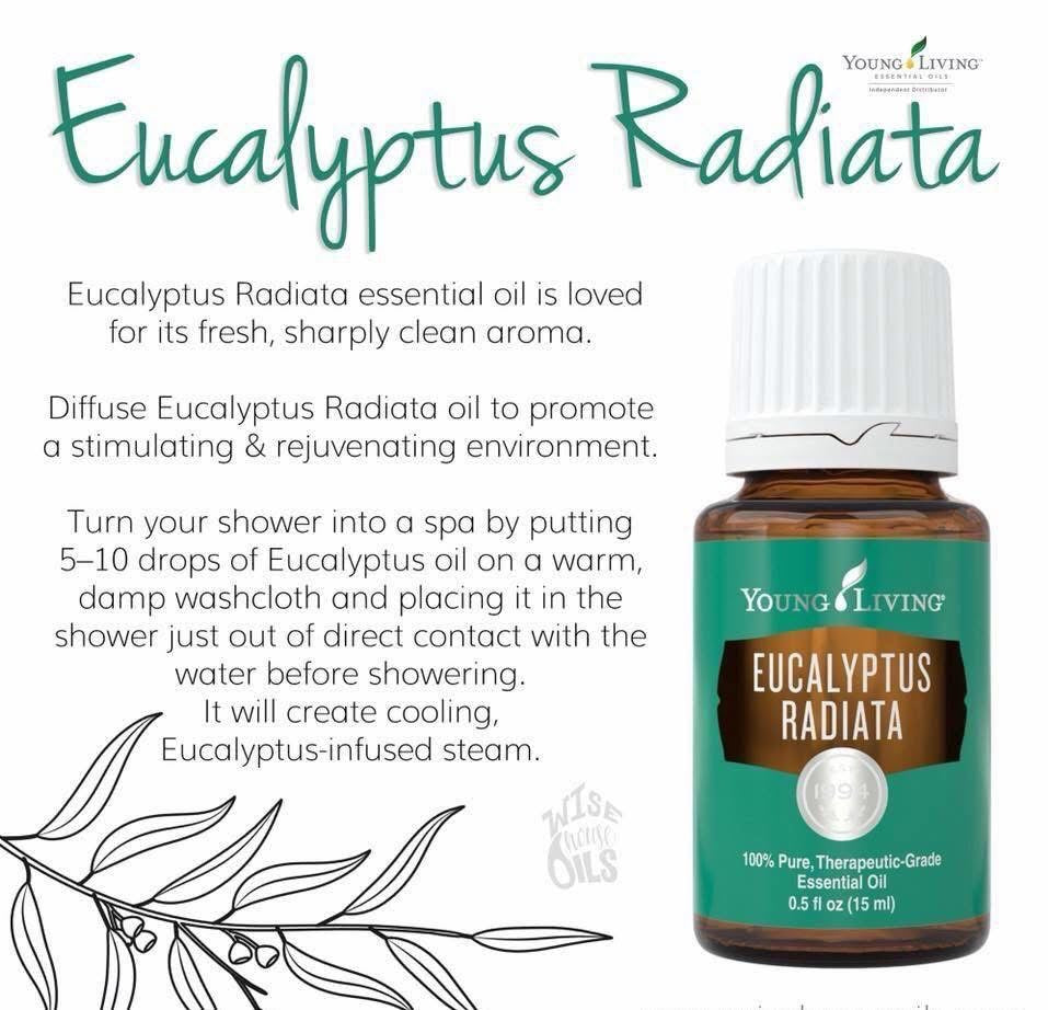 Эквалиптийн амин тос 15мл