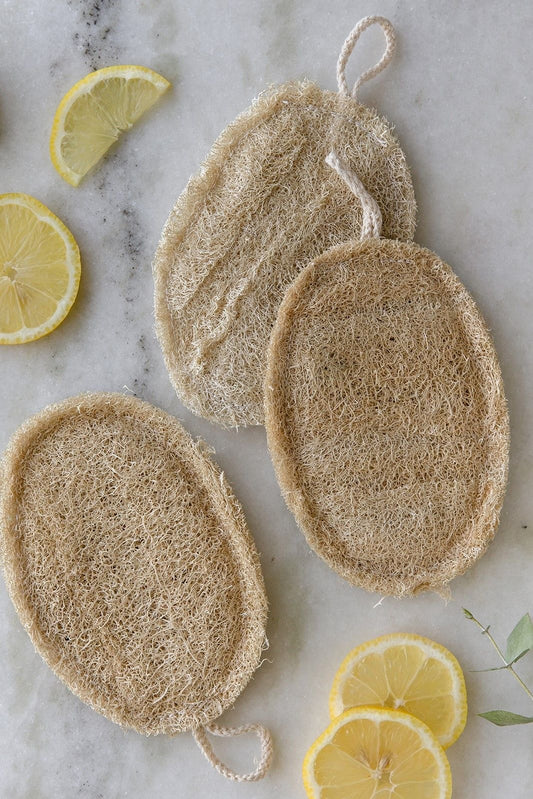 Ургамлын спонж \ loofah \
